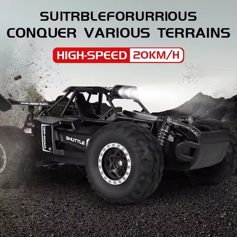 ZWN DK087 RC Car Terrain Capabilities